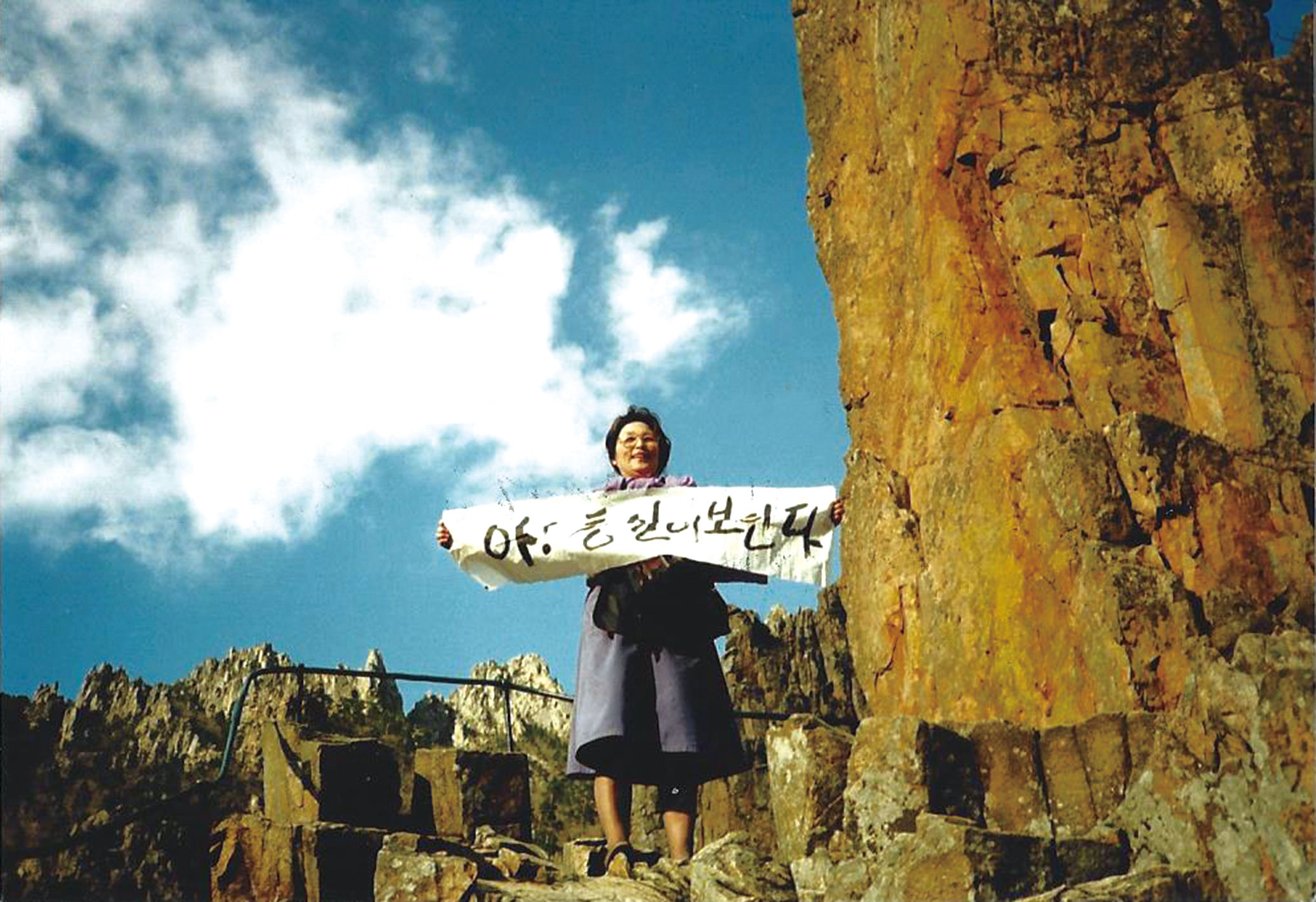 고향 능수버들에 솟구친 옛정 정치.민주화 20 (2)